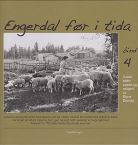 Omslag - Engerdal før i tida. Bind 4